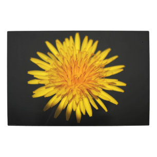 Dandelion Flower 30x20 (75x50cm) wamecna Metal Print