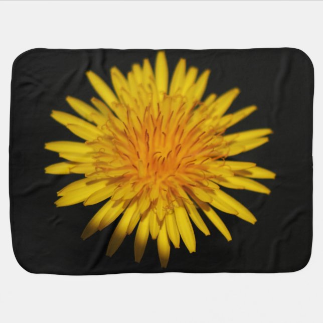 Dandelion Flower bbi Baby Blanket (Horizontal)