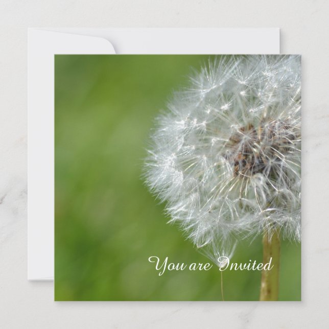 Dandelion Flower Birthday Invitation (Front)
