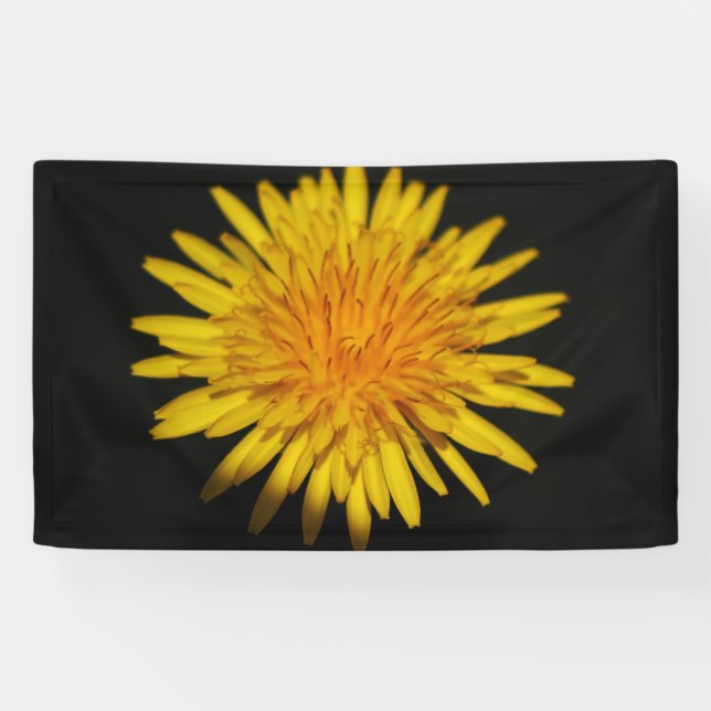 Dandelion Flower bnrcnm Banner (Horizontal)