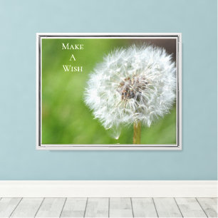 Dandelion Flower  Canvas Print