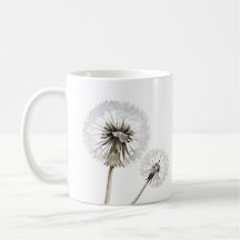 Dandelion Flower