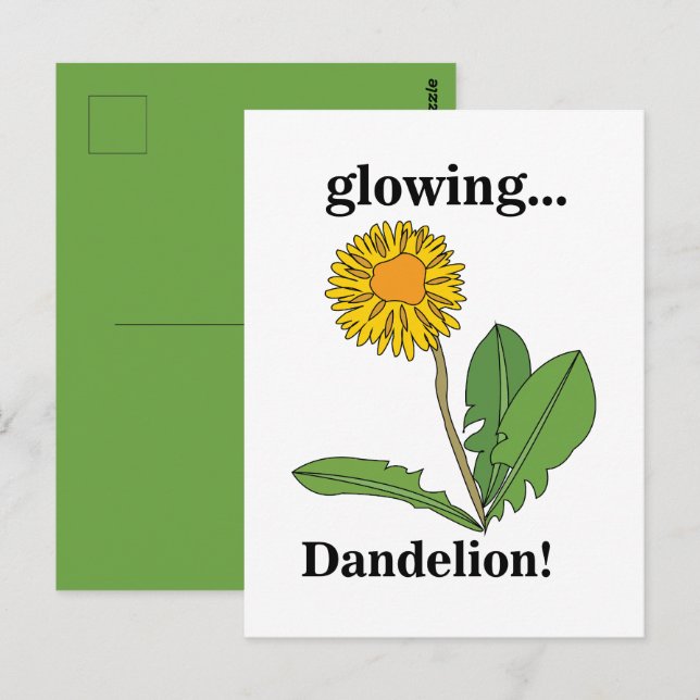 Dandelion Flower Floral  Postcard (Front/Back)