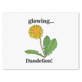Dandelion Flower Floral 
