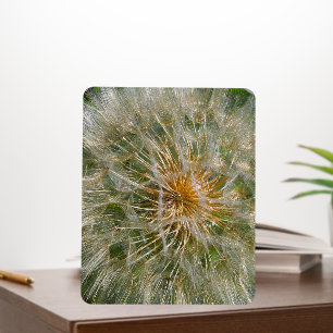 Dandelion Flower Foam Board