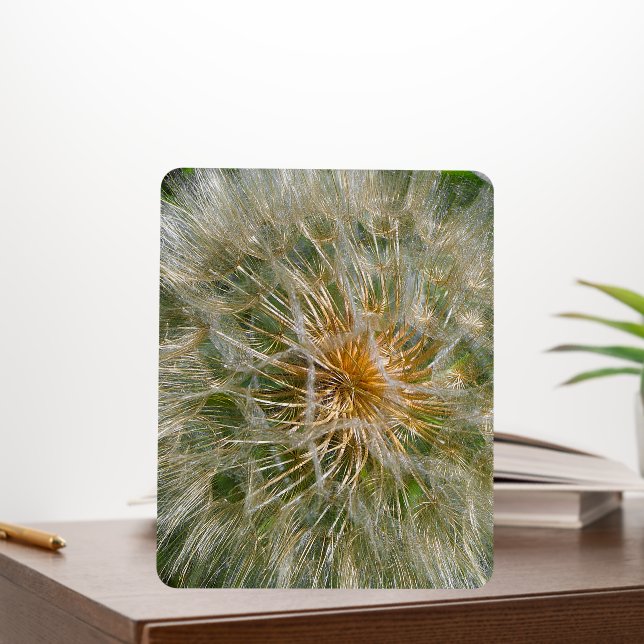 Dandelion Flower Foam Board (In Situ (Office))