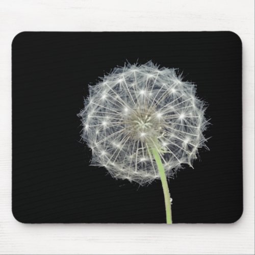 Dandelion flower mouse pad