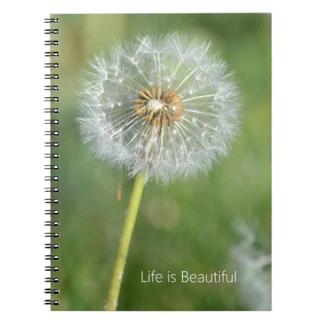 Dandelion Flower (my photography) Notebook (Front)