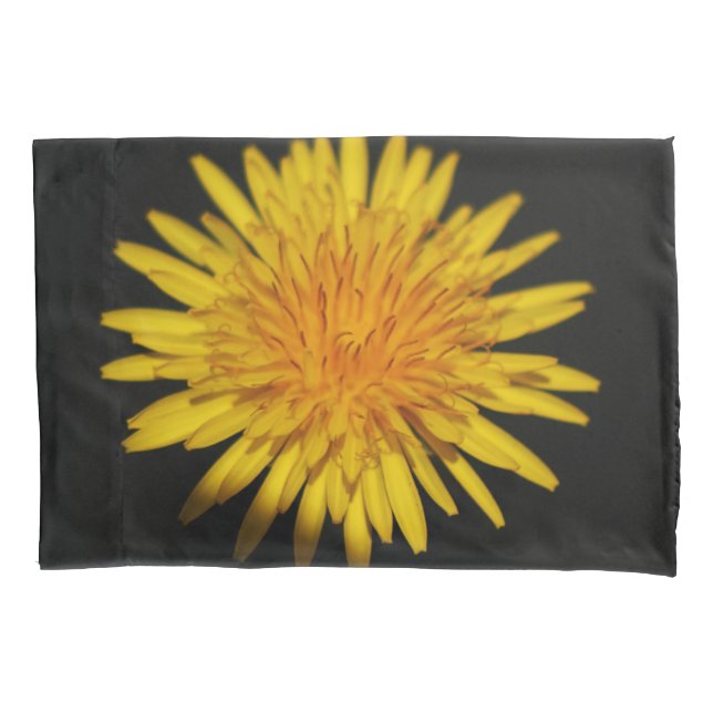 Dandelion Flower pccnm Pillow Case (Front)