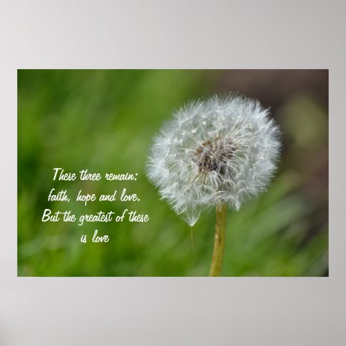 Dandelion Flower Poster