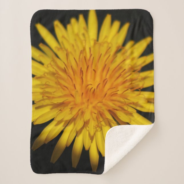 Dandelion Flower sbcnm Sherpa Blanket (Front)
