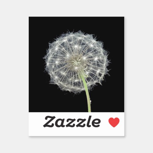 Dandelion flower sticker