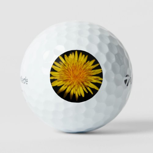 Dandelion Flower tmtp5 gbcna Golf Balls