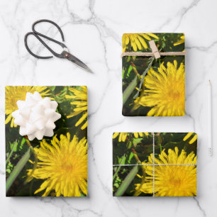Dandelion Flower Trio Wrapping Paper Sheets