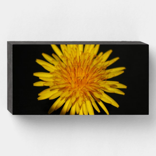 Dandelion Flower wbs8x4cnm Wooden Box Sign (Front Horizontal)