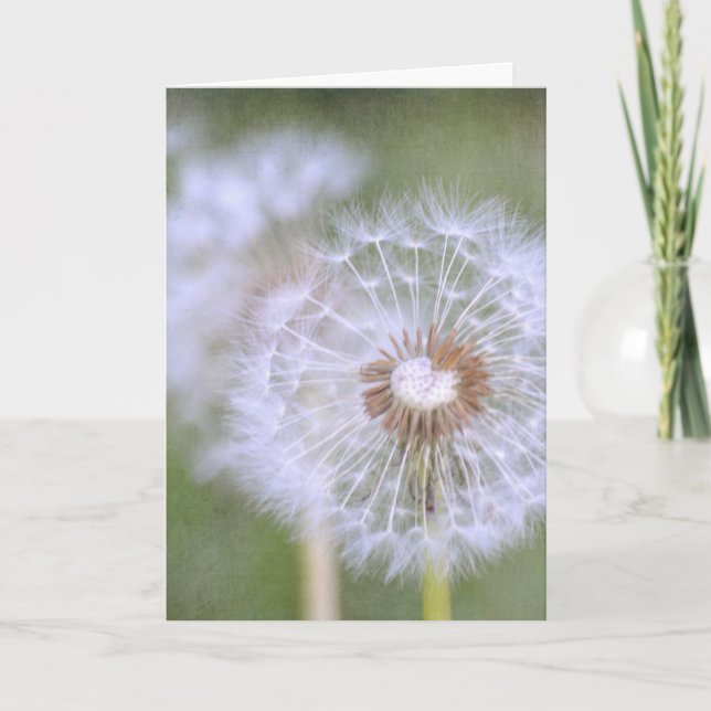 Dandelion Flowers Card (Front)