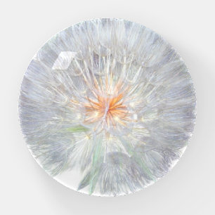 Dandelion Fluff Paperweight