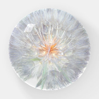 Dandelion Fluff Paperweight