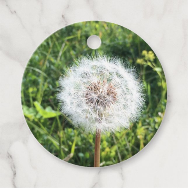 Dandelion gift tag (Front)