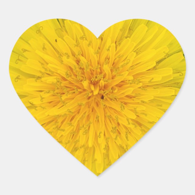 Dandelion Heart Sticker (Front)