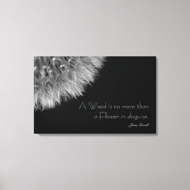 Dandelion in Black & White with Quote Canvas Print (Front)