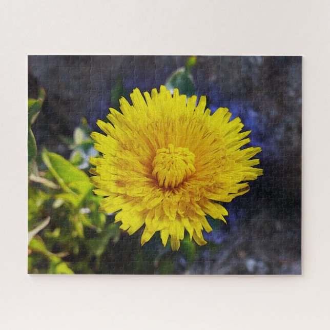 Dandelion in sunlight jigsaw puzzle (Horizontal)