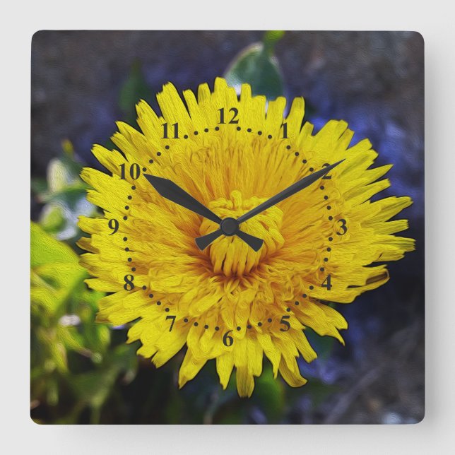 Dandelion in sunlight square wall clock (Front)