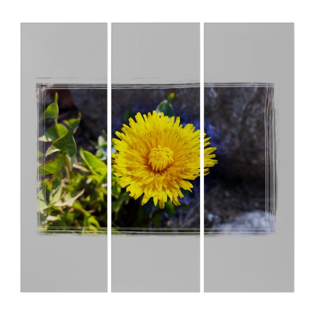 Dandelion in sunlight triptych (Front)