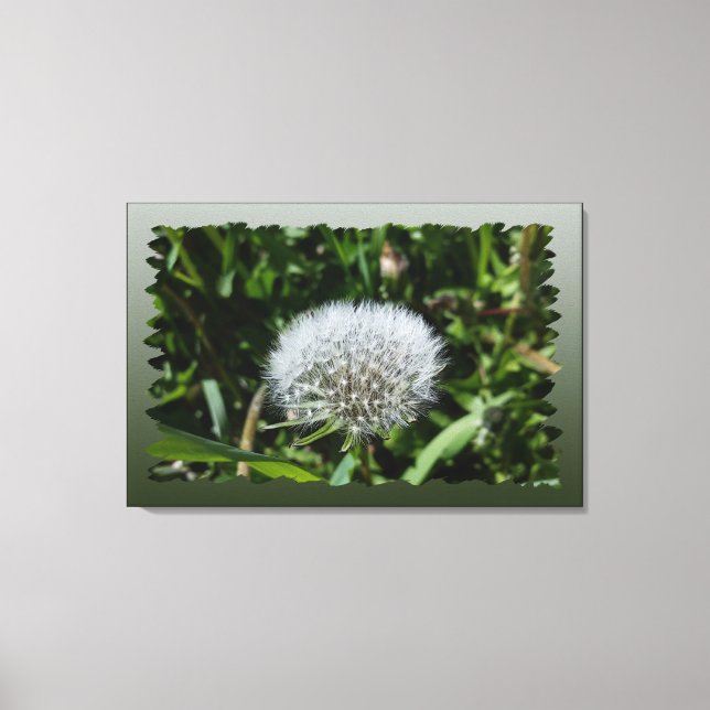 Dandelion in the grass canvas print (Front)