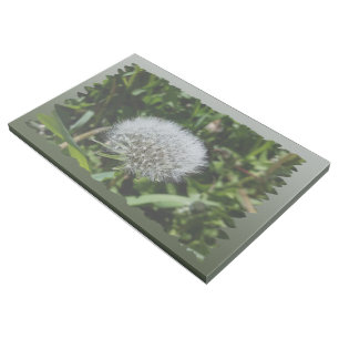Dandelion in the grass gallery wrap
