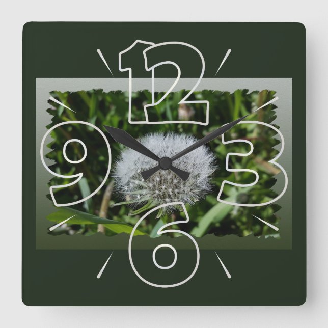 Dandelion in the grass square wall clock (Front)