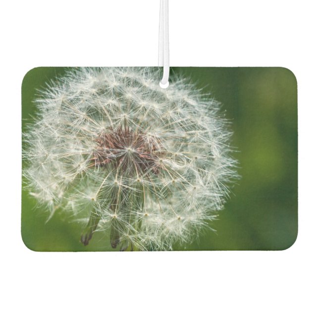 Dandelion In The Light Air Freshener (Front)
