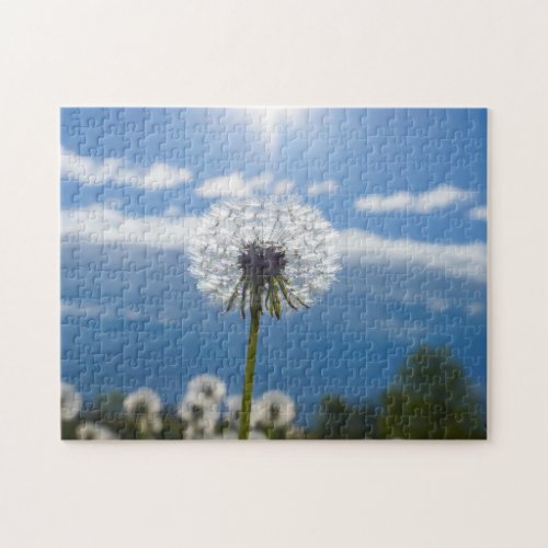 Dandelion In The Light Jigsaw Puzzle