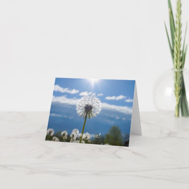 Dandelion In The Light Letterpress Thank You Card (Front)