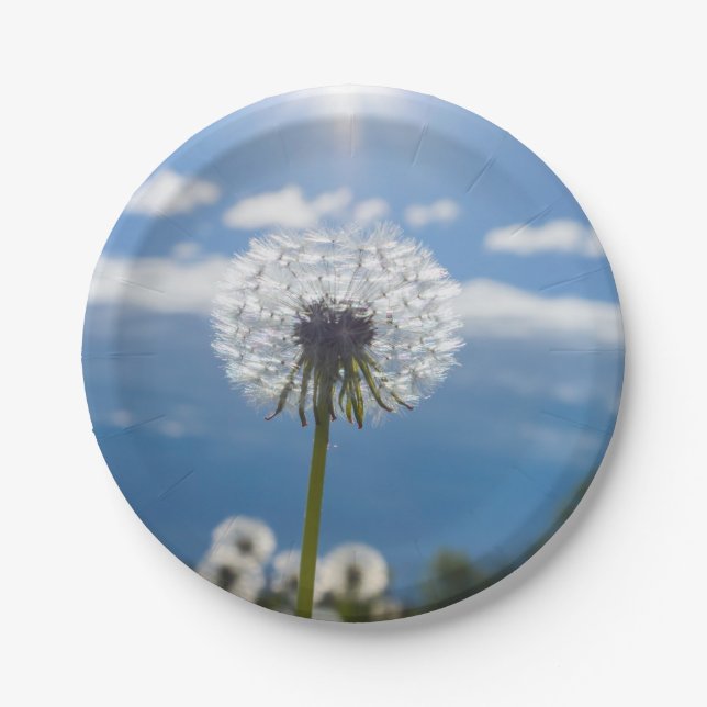 Dandelion In The Light Paper Plates (Front)