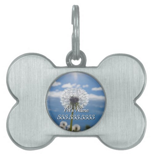 Dandelion In The Light Pet Tag