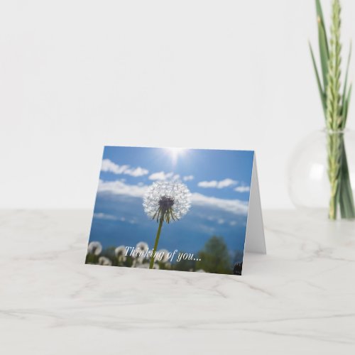 Dandelion In The Light Thinking Of You Card