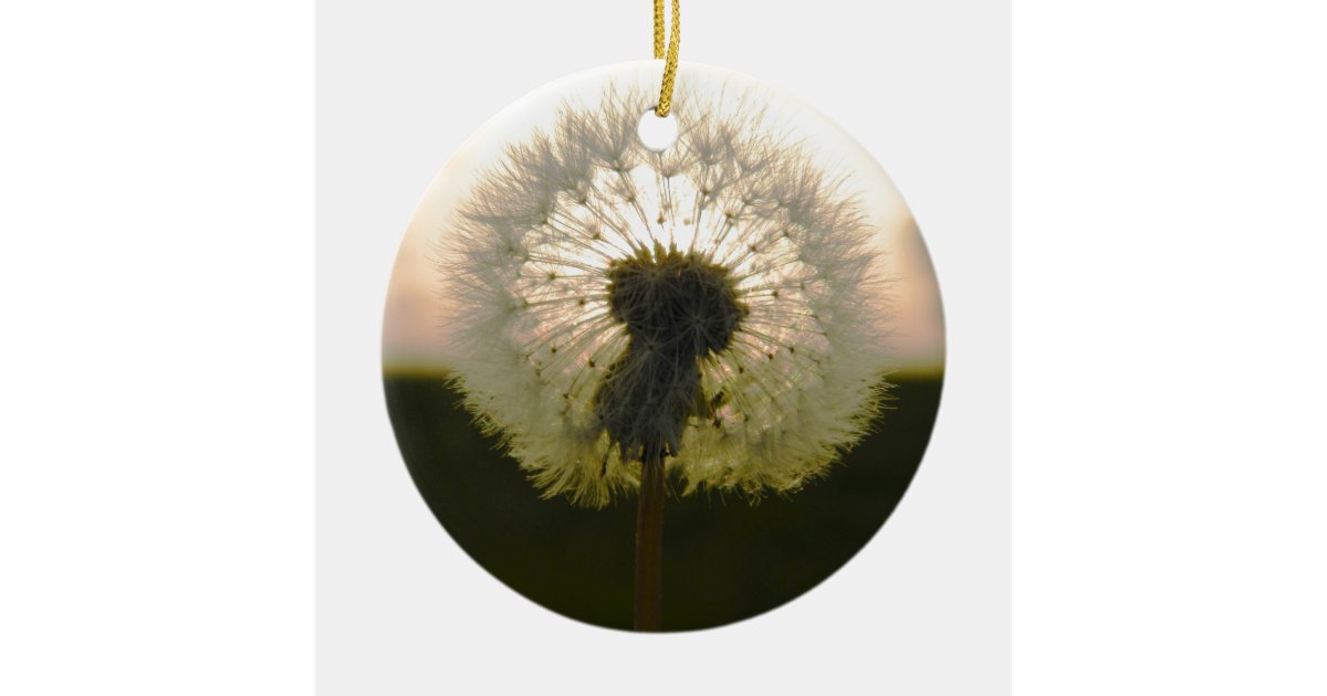 dandelion in the sun ceramic ornament | Zazzle