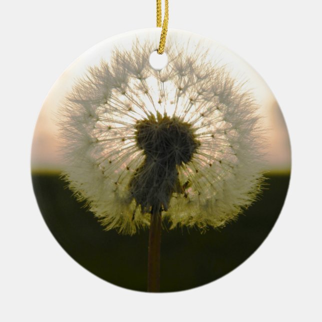 dandelion in the sun ceramic ornament (Front)