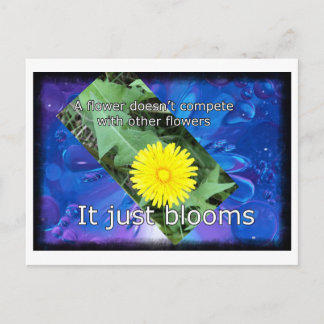 Dandelion  Inspirational Postcard