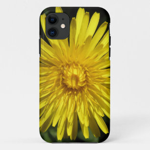 Dandelion iPhone 5 Case
