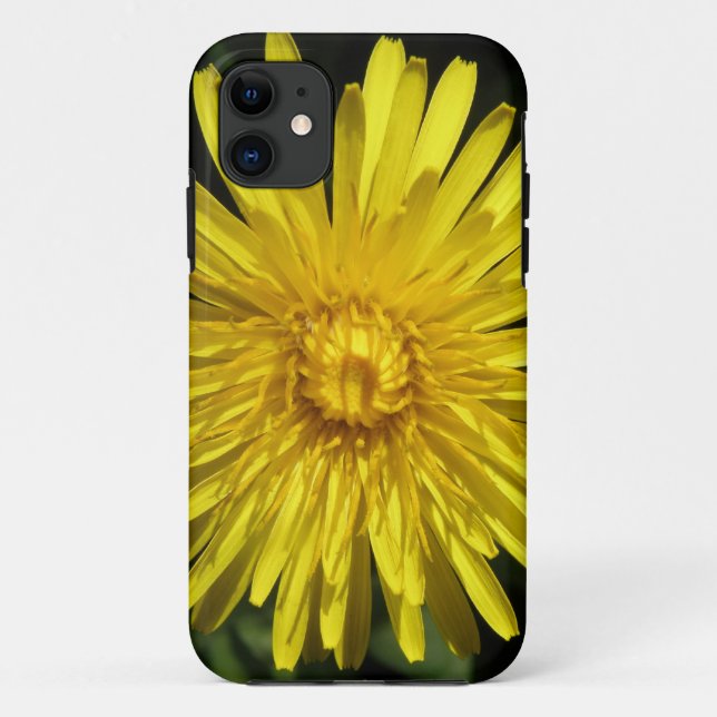 Dandelion iPhone 5 Case (Back)