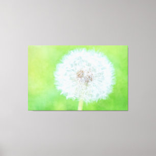 Dandelion - Just Woke Up Beauty Canvas Print