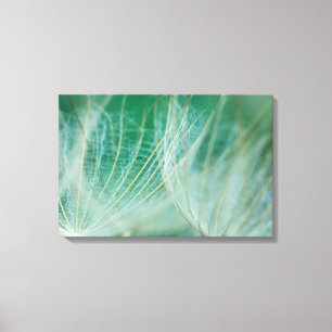 Dandelion macro canvas print
