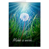 Dandelion Macro Cards (Front)