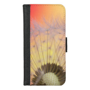 Dandelion-macro-seed-seeds-nature iPhone 8/7 Wallet Case