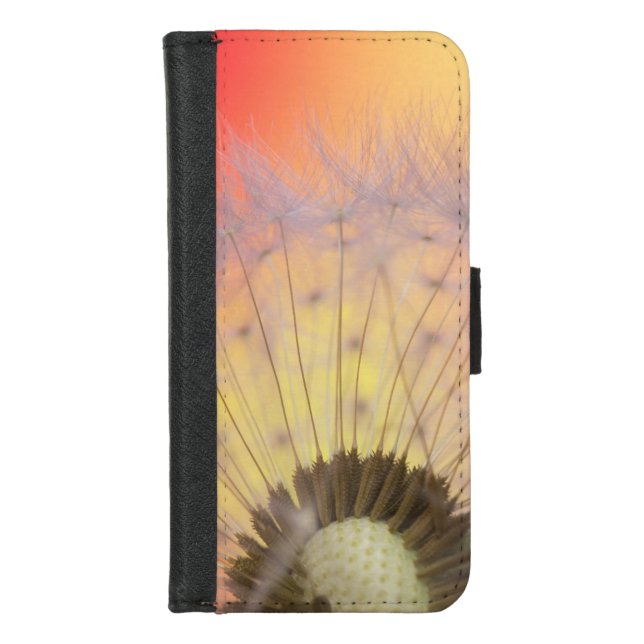Dandelion-macro-seed-seeds-nature iPhone Wallet Case (Front)