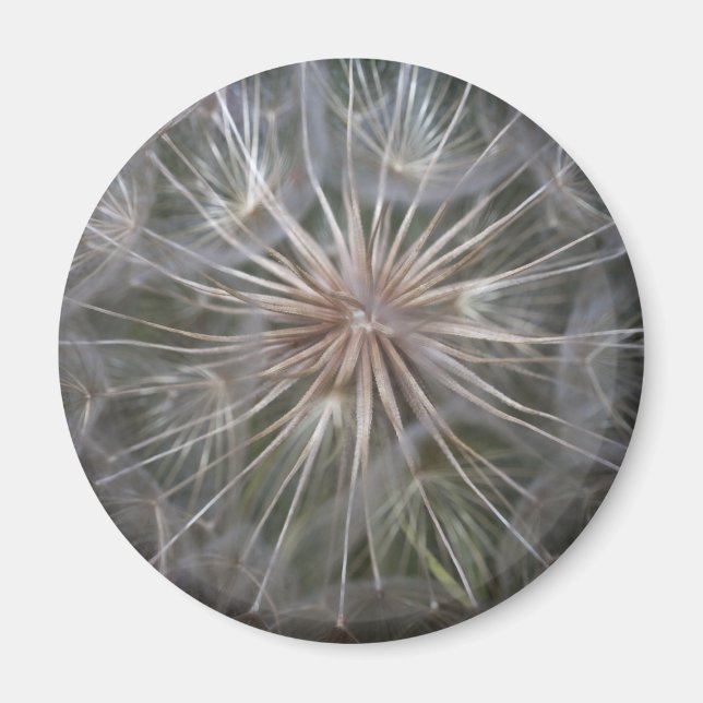 Dandelion Magnet (Front)