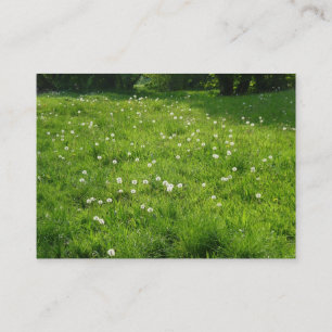 Dandelion Meadow 01 Business Card
