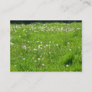 Dandelion Meadow 02 Business Card